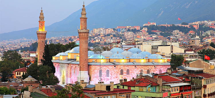 Bursa